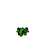 Infernal Frog