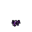 Orchid Frog