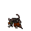 Pirat Cutthroat
