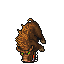 Boar