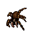 Sacred Spider