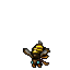 Wasp
